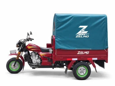 ZELMO هيكل بانتظار التصنيف أحمر منظر جانبي