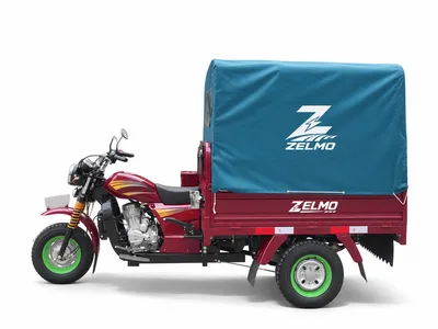 ZELMO هيكل بانتظار التصنيف أحمر منظر جانبي