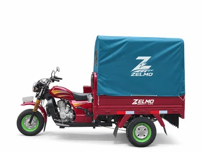 ZELMO هيكل بانتظار التصنيف أحمر منظر جانبي
