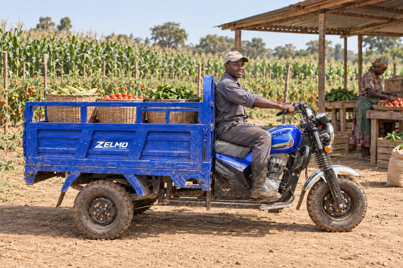 ZELMO carrocería multiuso azul vista lateral · Productos agrícolas